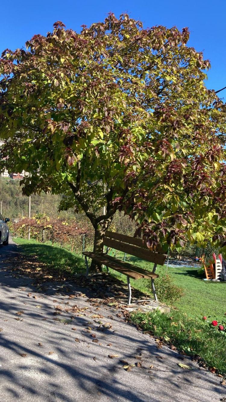 Cascina Uertigher Gorno Ngoại thất bức ảnh